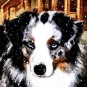 Meet your Posher, Wendy